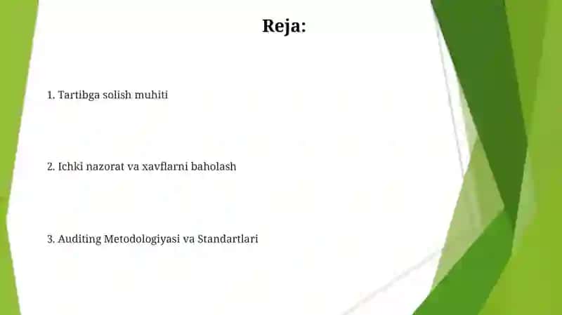 Auditda nazorat muhiti va elementlari 2