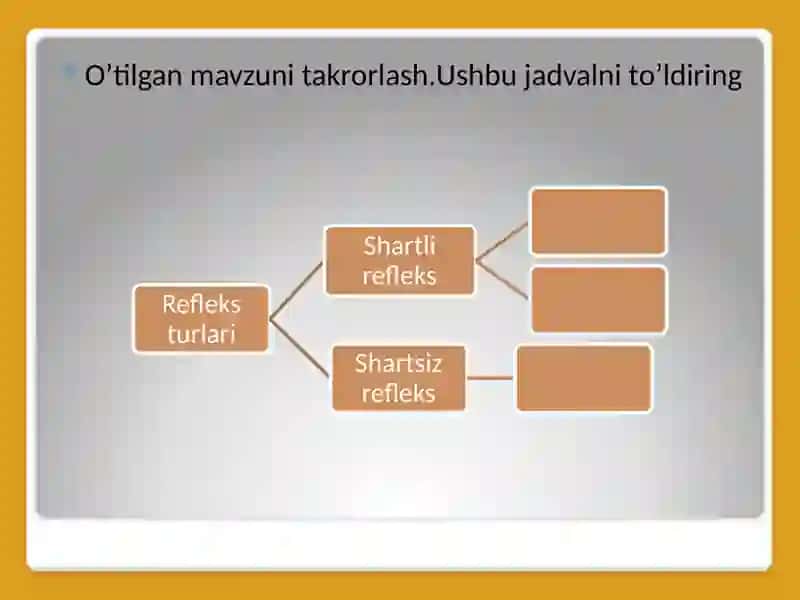 Nerv faoliyatining turlari 2