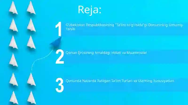 Qonun Ijrosining Amaldagi Holati va Muammolar 2