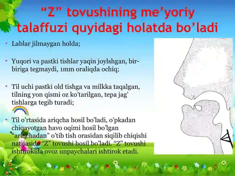 Z tovushni nutqqa qoʻyish va uni mustahkamlash 2