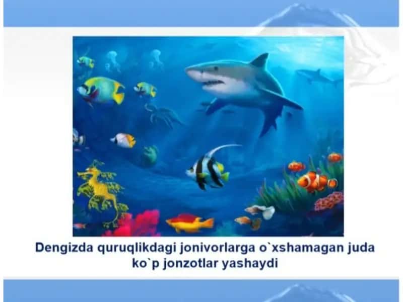 Jurayeva Dilfuza Sobirovna 2