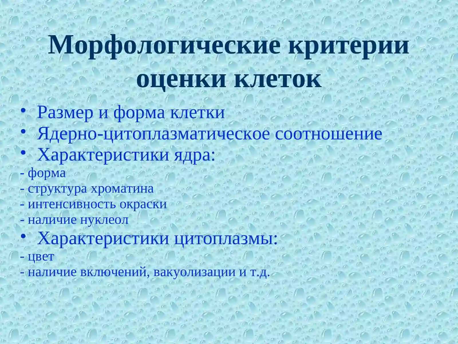 Морфология клеток гранулоцитарного ряда 2