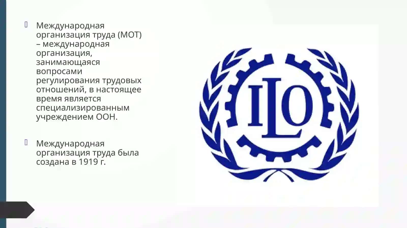 Международная организация труда 2