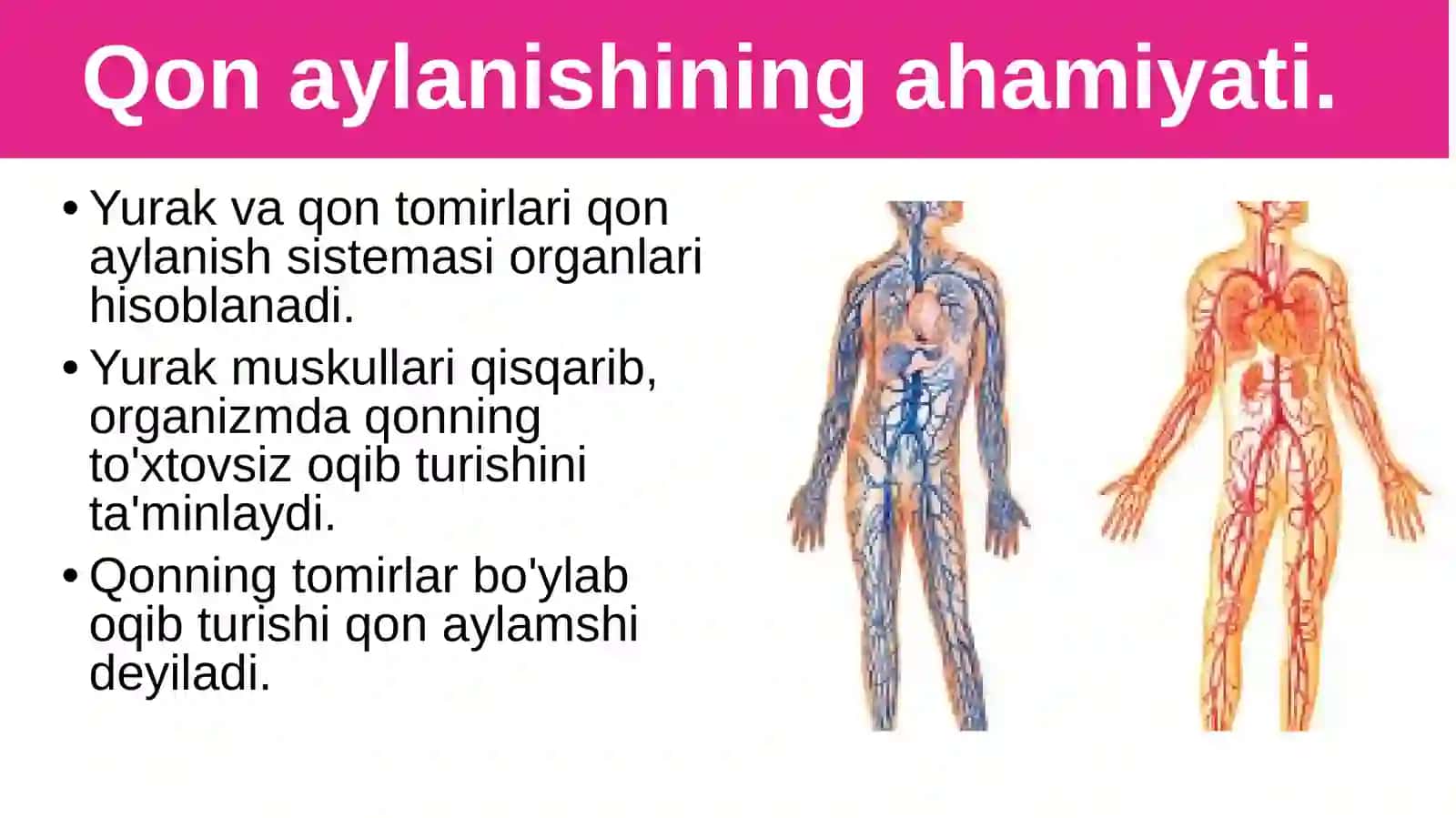 Biologiya 2