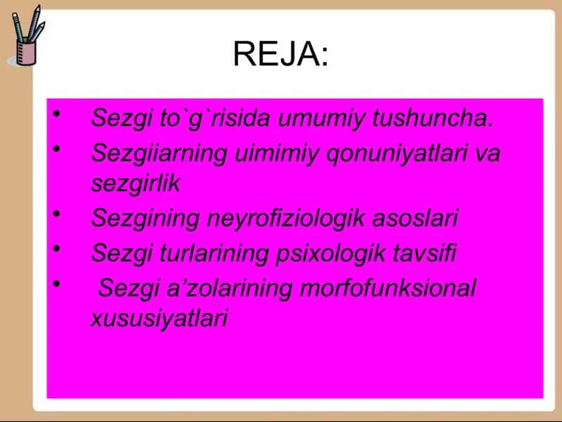 Sezgi 2