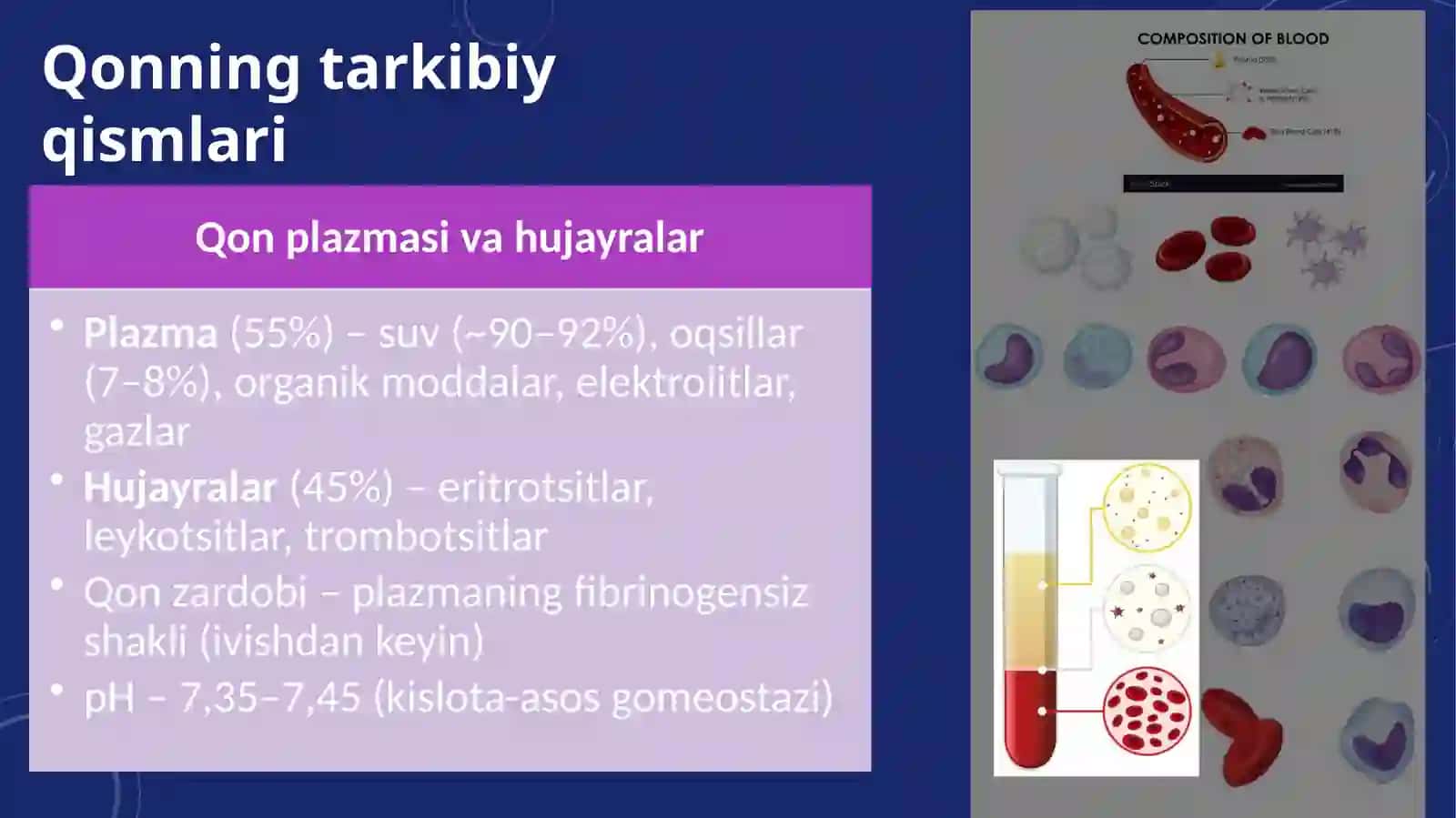 Qon biokimyosi 2