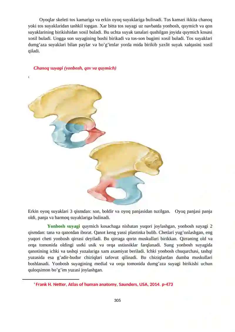 Osteosyndesmology 2