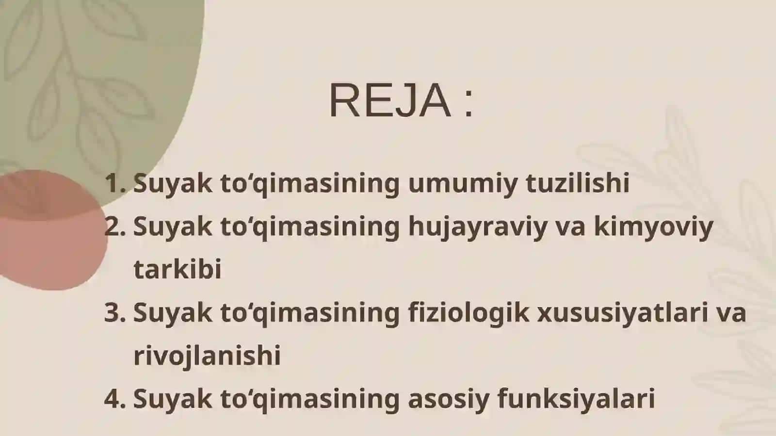 Suyak to‘qimasining tuzilishi va funksiyasi 2