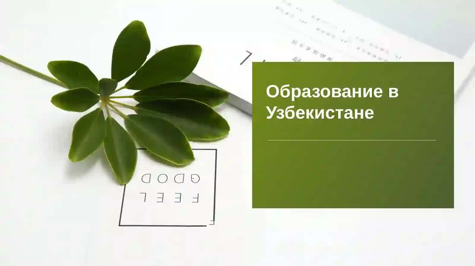 Образование в Узбекистане (нормативные акты) 2
