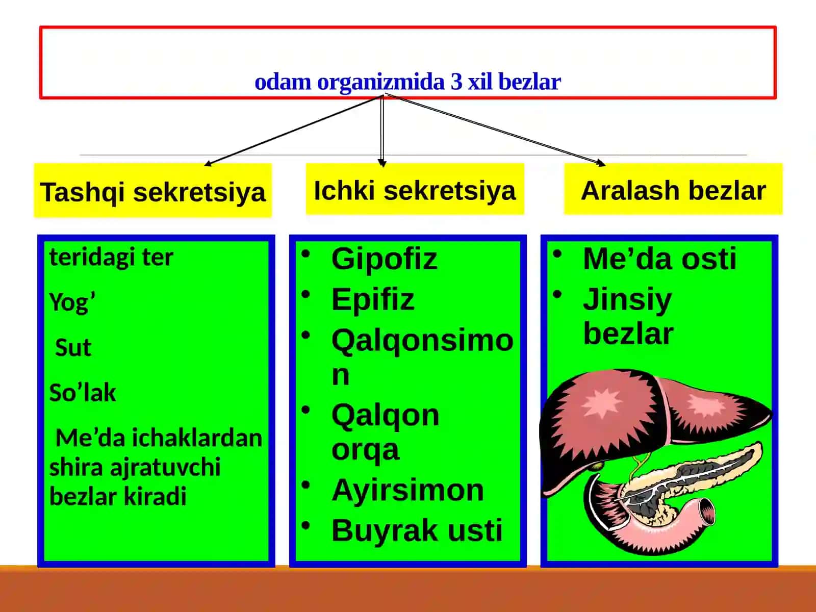 Ichki sekretsiya bezlari 2