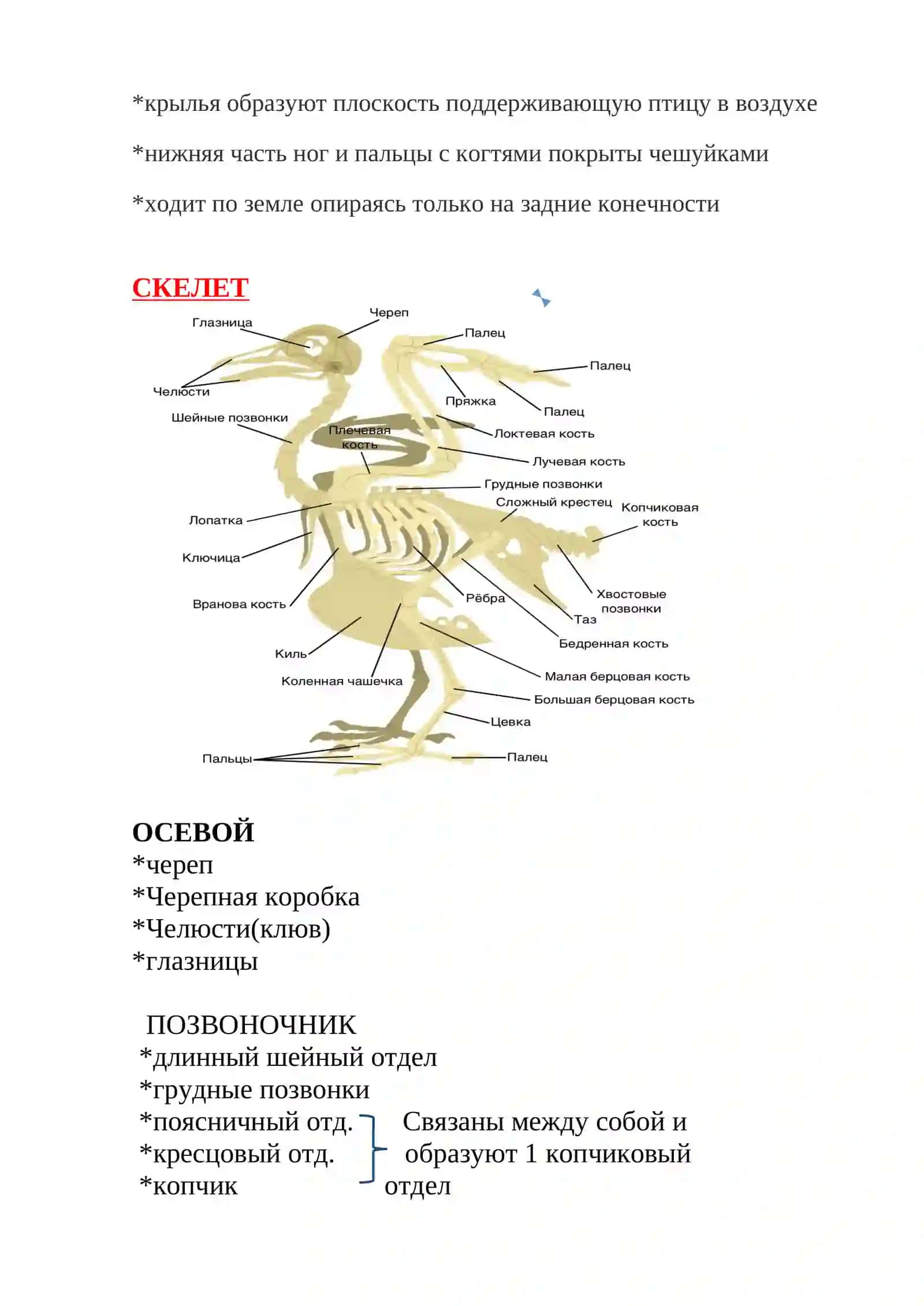 Птицы 2