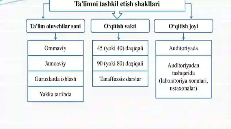 Oʻzbekistonda Universitet ta'limi xusuyatlari 2