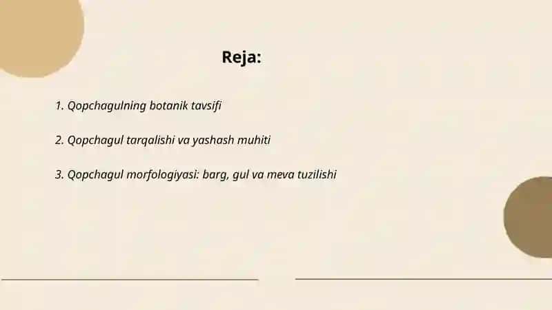Qopchagul 2