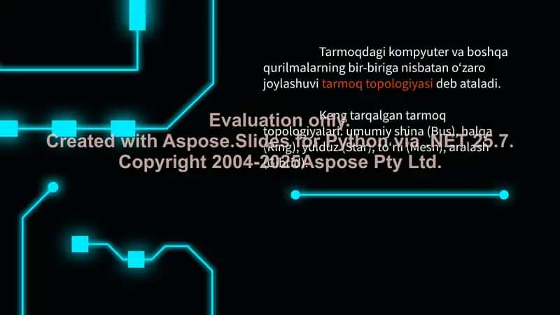 Tarmoq Topologiyasi 2