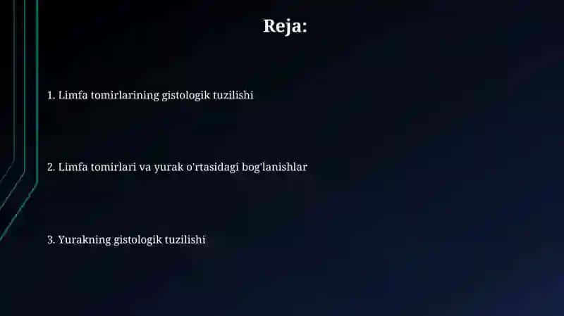 Yurakning gistologik tuzilishi 2