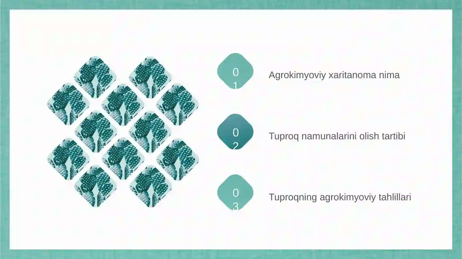 Agrokimyoviy xaritanoma 2