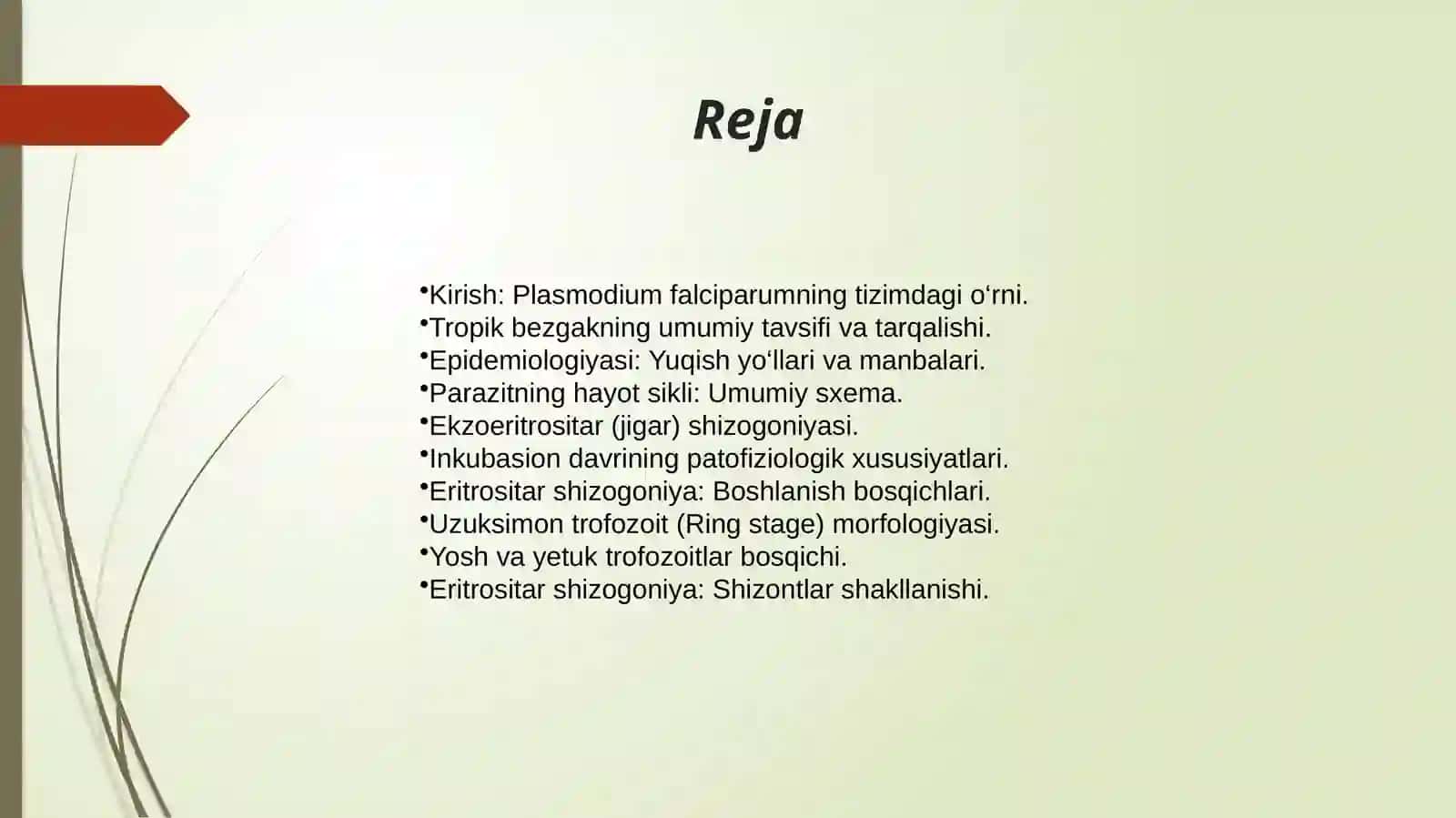Plasmodium Falciparum(Rivojlanish sikli Inkubasion davriEritrositar.pptx 2