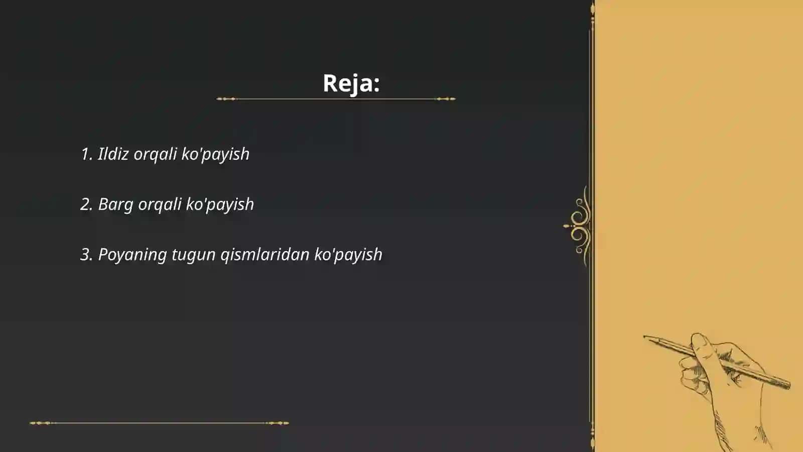 O'simliklarning vegetativ ko'payishi 2