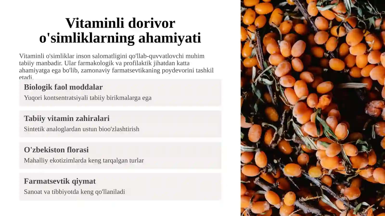 Vitaminli dorivor o'simliklarning ahamiyati 2