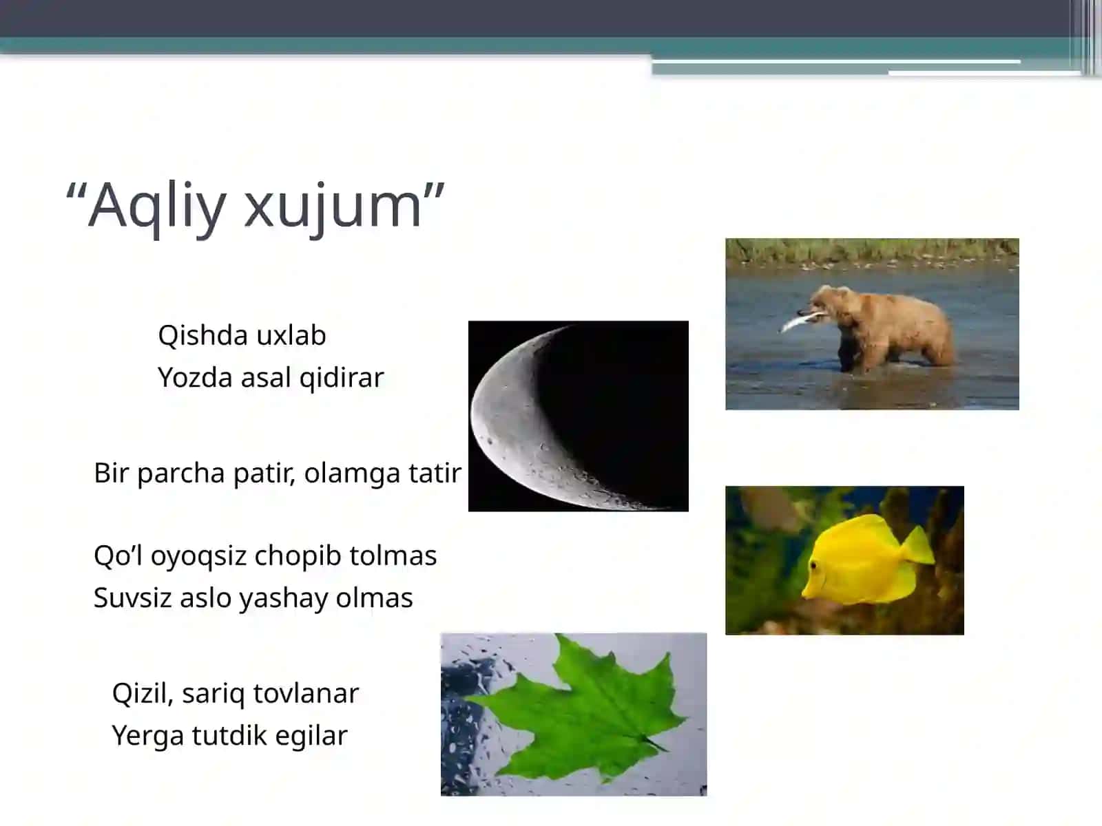 Mantiqiy masala Kimga nima yetishmaydi? 2