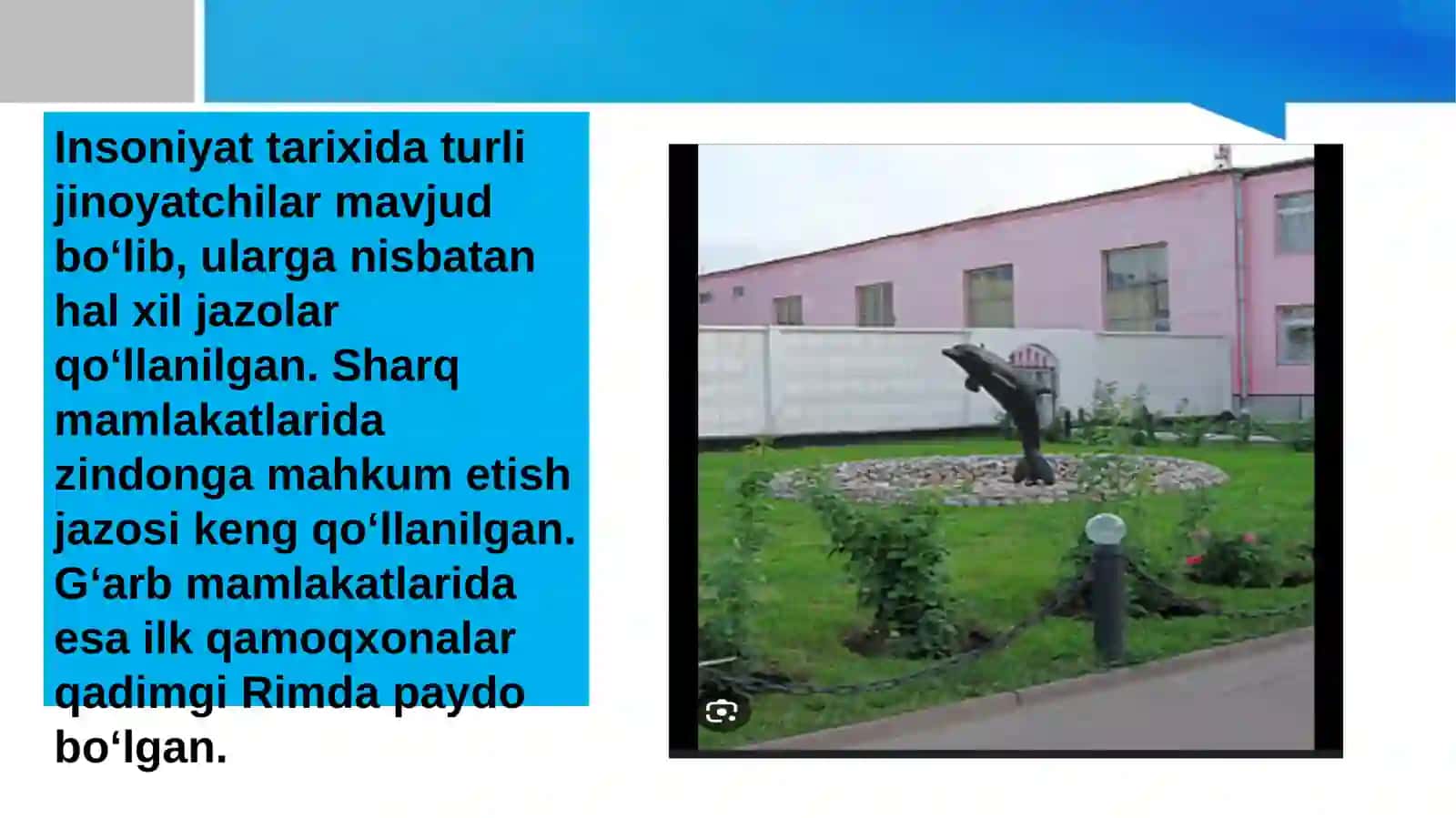Qora delfin 2