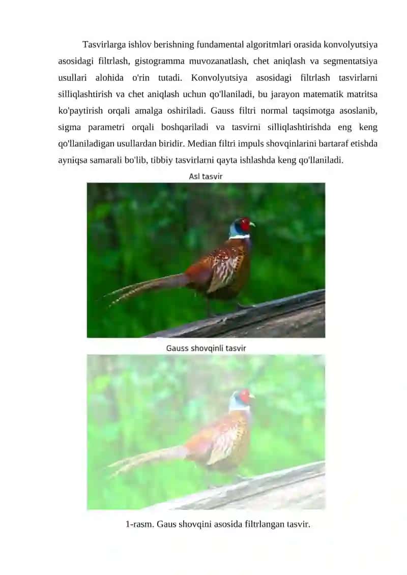 Tasvirlarga ishlov berishning bazis algoritmlari 2