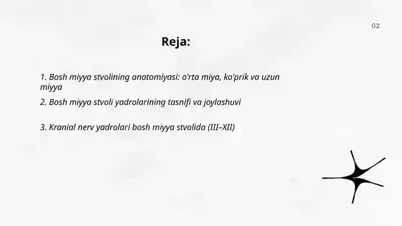 Bosh miyya stvolining anatomiyasi 2