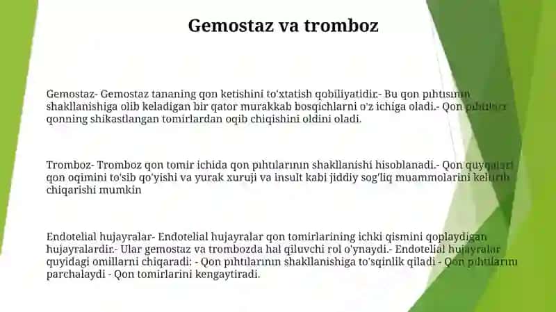 Qon Tomir Endoteliysining Funksiyalari 2