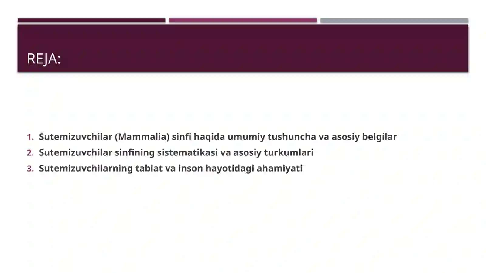 Sutemizuvchilar-Mammalia sinfining sistematikasi 2