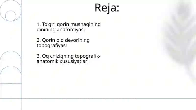 Qorin soxasining topografiyasi 2