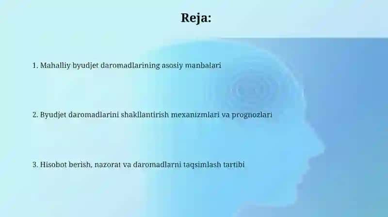 Mahalliy budjet shakllanish manbalari 2