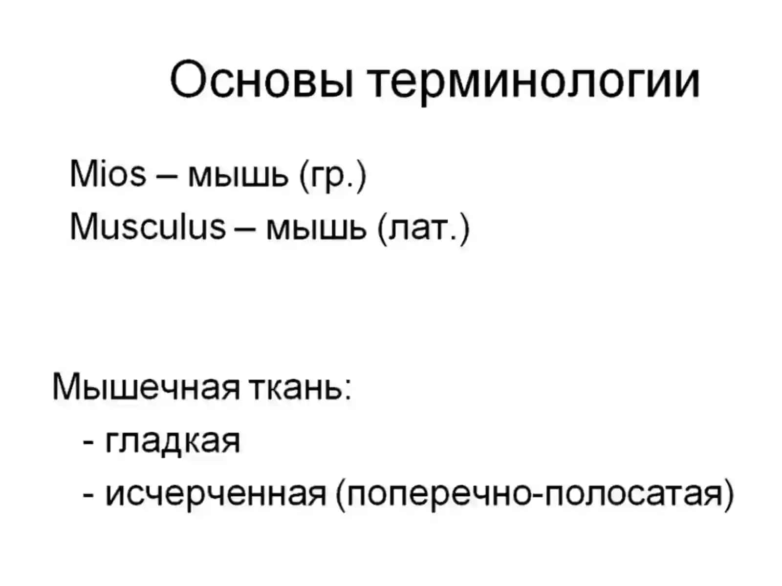 Введение в миологию 2