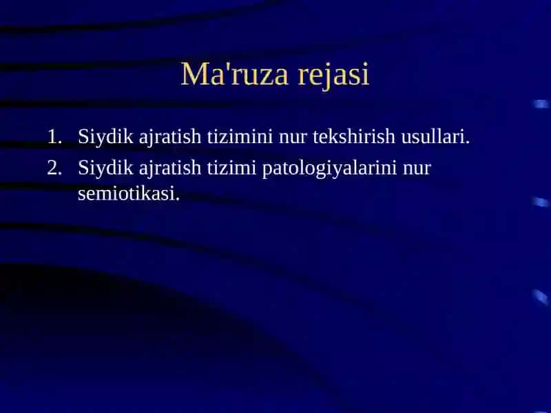BUYRAK VA SIYDIK YO’LLARI KASALLIKLARININING NUR DIAGNOSTIKASI 2