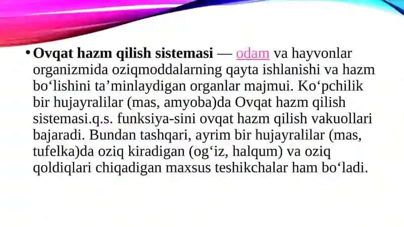 Oshqozon va ichaklarning tuzilishi 2