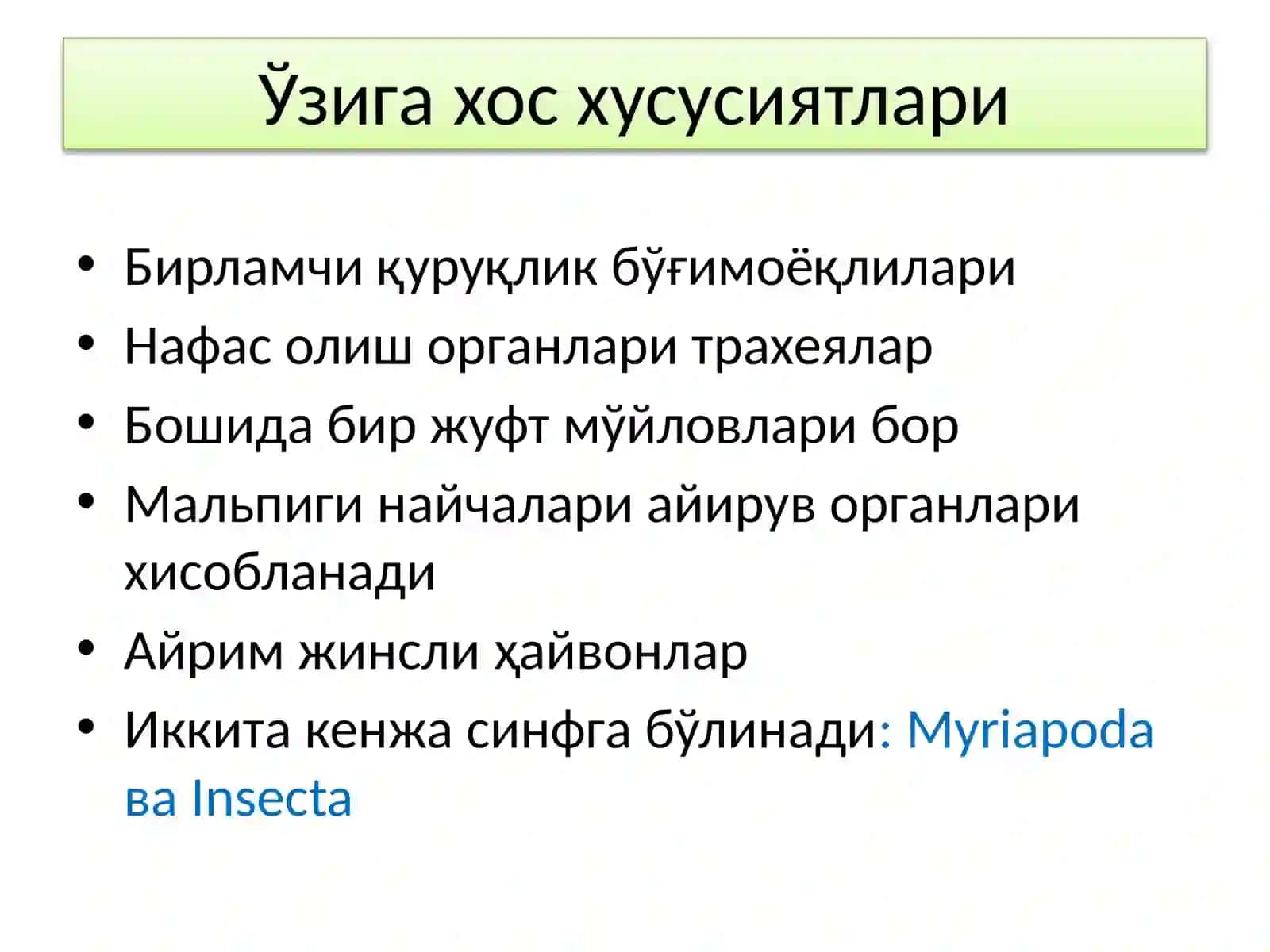 Tracheata – Трахеялилар кенжа типи 2