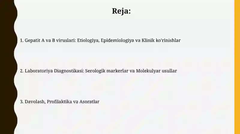 Gepatit A va Gepatit B viruslari 2
