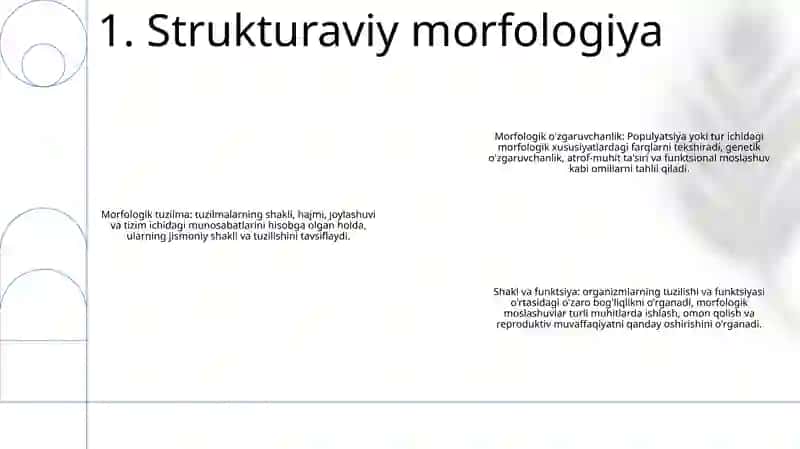 Morfologiya 2