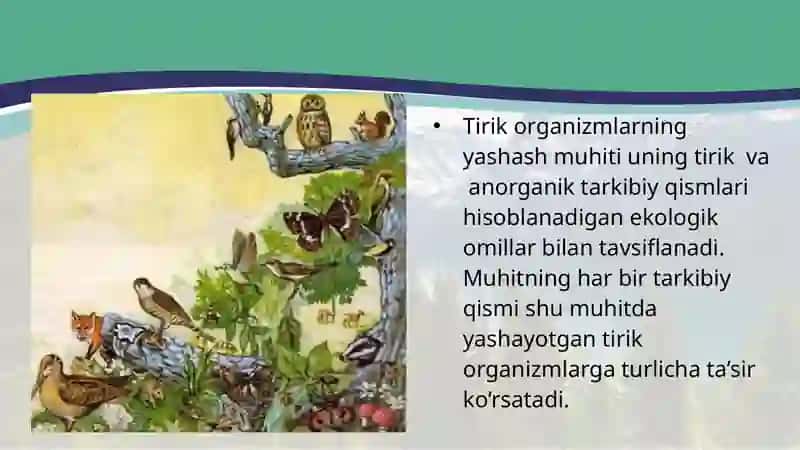 Muhit va ekologik omillar 2