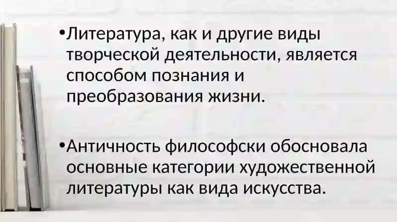 Литературное произведение 2