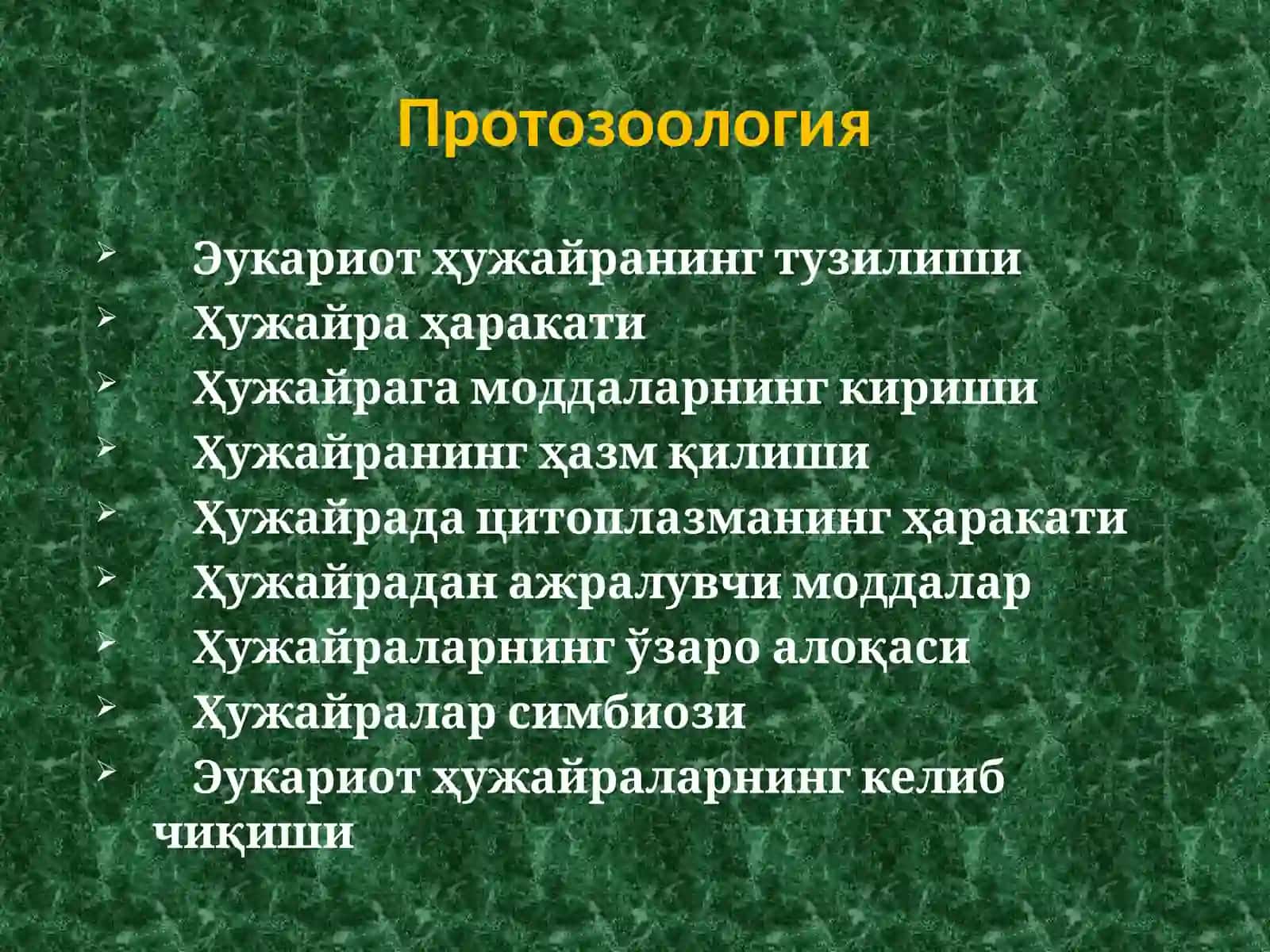 Тема№ 1:кириш. Умуртқасизлар билан танишув 2