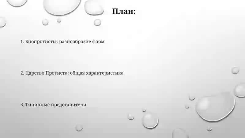 Тип простейшие. Биопротисты. Царство Protista 2