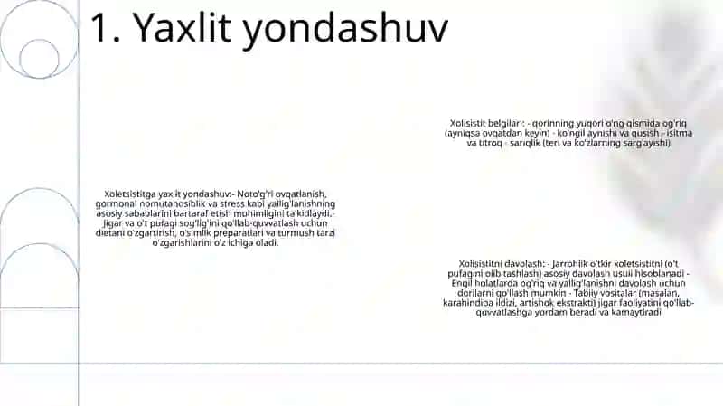 Xolisistit 2