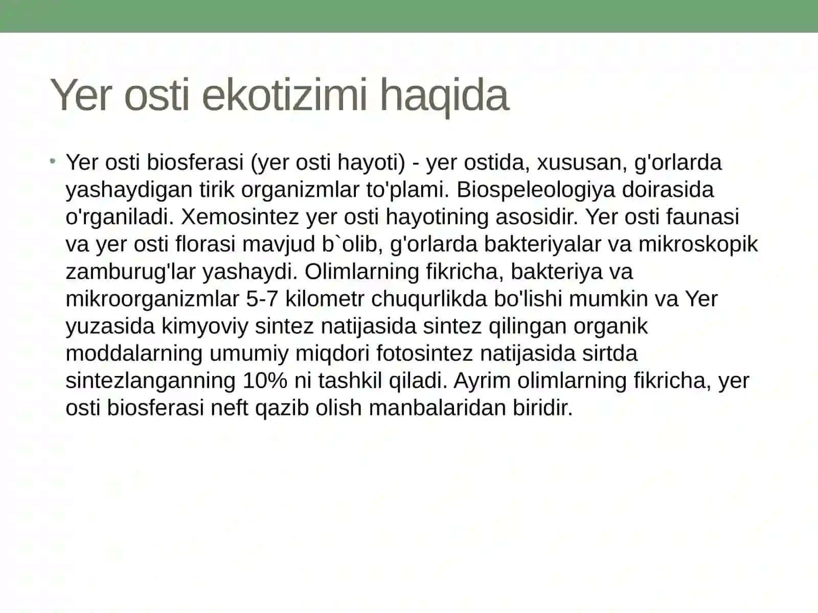 Yer osti ekotizimi 2