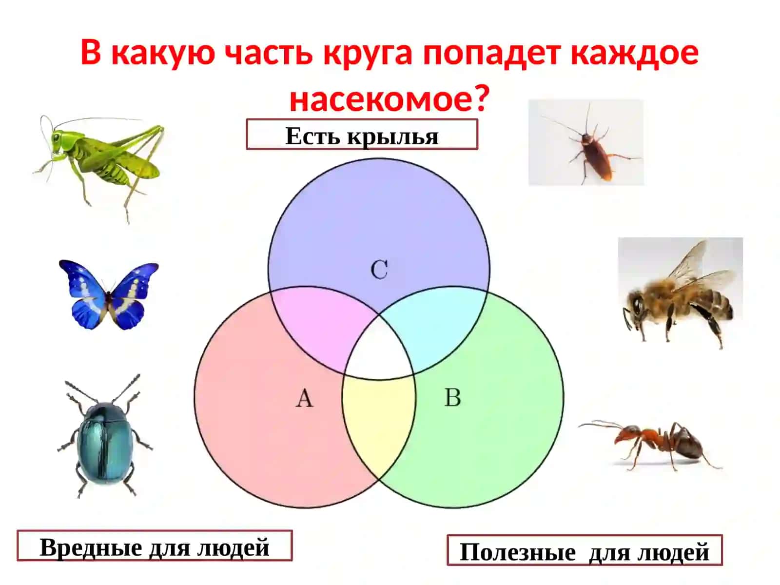 Обратные задачи 2