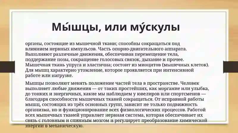 Классификация мышц 2