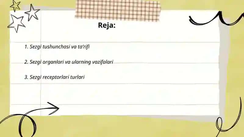 Sezgi haqida umumiy maʼlumotlar 2