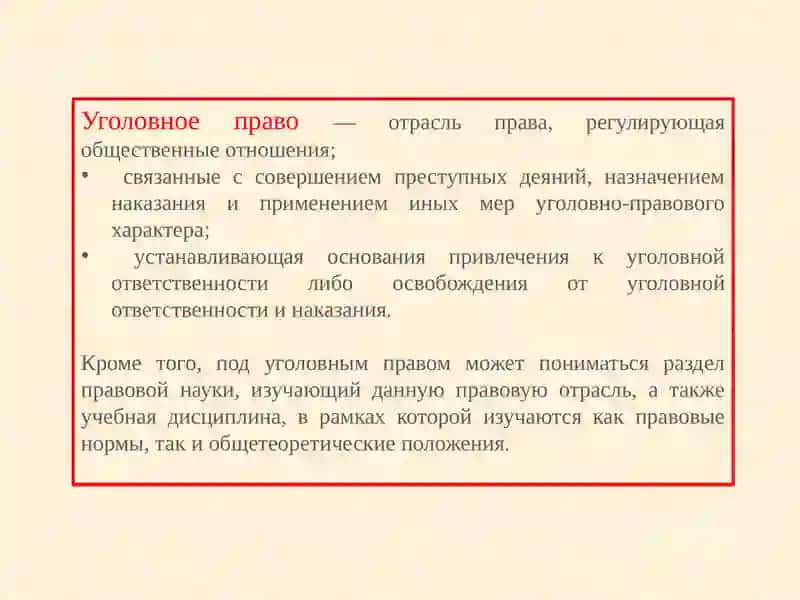 Введение в уголовное право 2