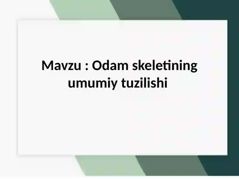 Odam skeletini umumiy tuzulishi 2