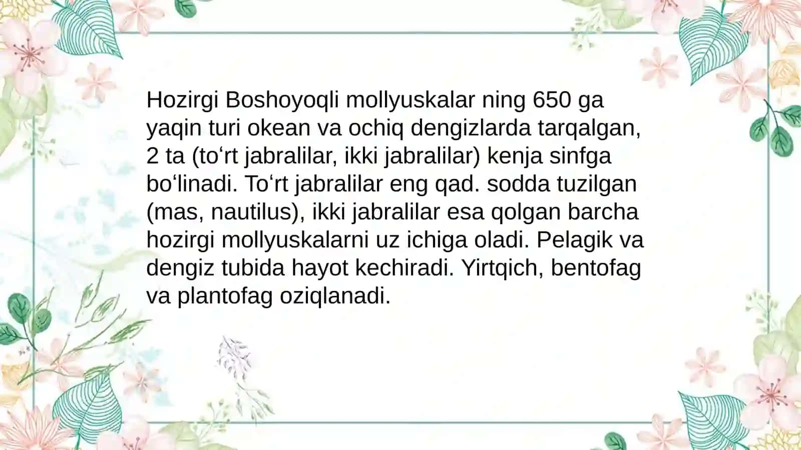 Boshoyoqli mollyuskalar (Cephalopoda) 2