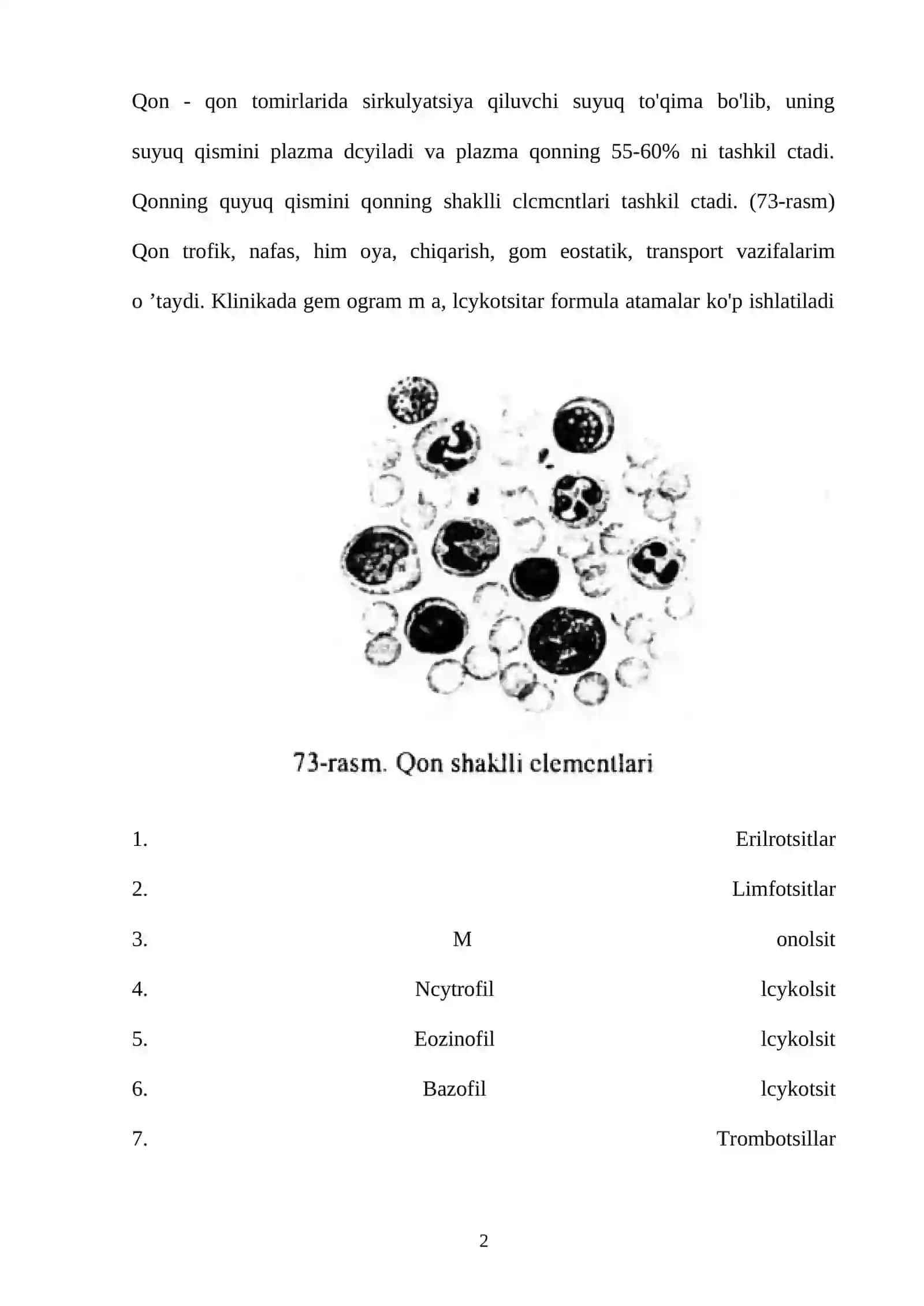 Qon ichki muhit yoki trofik toʻqimalar, morfofunksional tuzilishi 2
